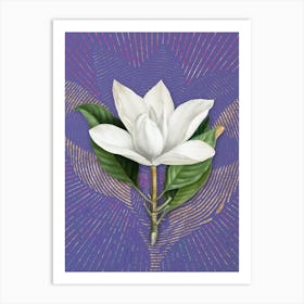 Vintage White Southern Magnolia Botanical Illustration on Veri Peri n.0144 Art Print