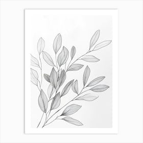 Eucalyptus 5 Art Print