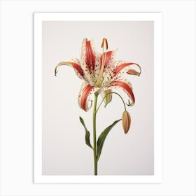 Pressed Flower Botanical Art Gloriosa Lily 4 Art Print