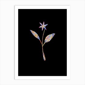 Stained Glass Erythronium Mosaic Botanical Illustration on Black n.0360 Art Print