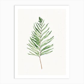 Douglas Fir Needle Leaf Minimalist Watercolour 1 Art Print