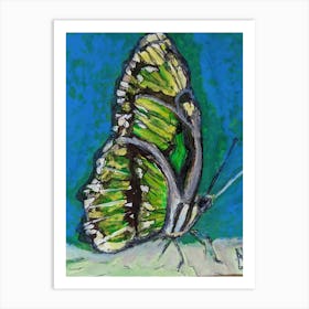 Green Butterfly Art Print