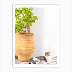 Resting Cat in Paros Art Print