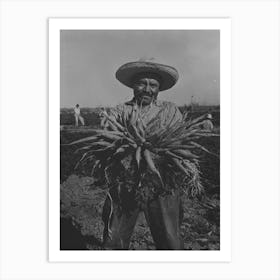 Mexican Carrot Worker,Edinburg, Texas By Russell Lee Art Print