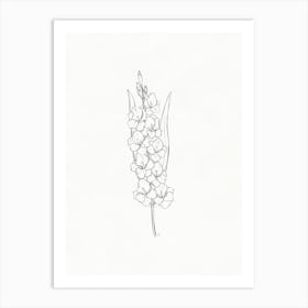 Lily Of The Valley Pencil Sketch Art Print