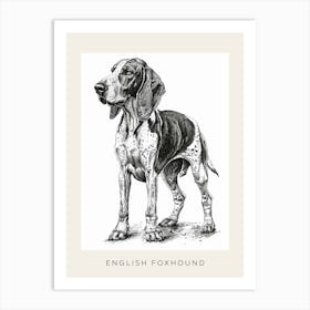 English Foxhound Dog Line Sketch 3 Poster Art Print