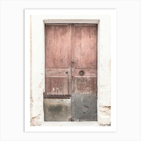 Old Wooden Door 1 Art Print