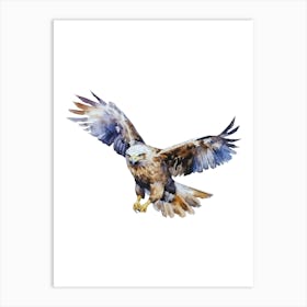 Eagle In Flight.3 Art Print