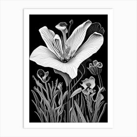 Desert Mariposa Lily Wildflower Linocut 2 Art Print