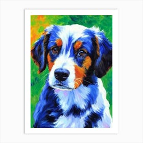 Miniature American Shepherd Fauvist Style Dog Art Print