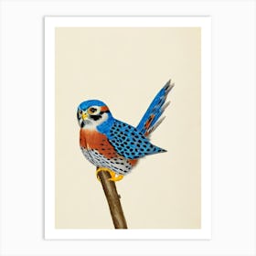 American Kestrel Illustration Bird Art Print
