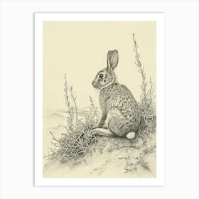 Argente Rabbit Drawing 2 Art Print