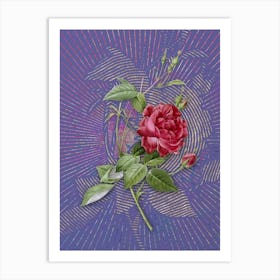 Vintage Blood Red Bengal Rose Botanical Illustration on Veri Peri n.0340 Art Print