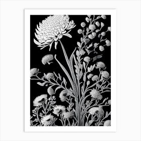 Pearly Everlasting Wildflower Linocut 1 Art Print