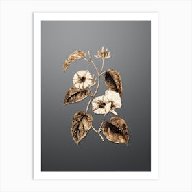 Gold Botanical Hoary Jacquemontia Flower on Soft Gray n.2243 Art Print