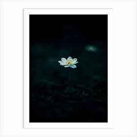 Single Flower In The Dark 104 Art Print