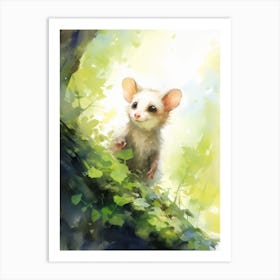Light Watercolor Painting Of A Foraging Possum 4 Art Print