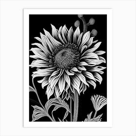 Blanket Flower Wildflower Linocut Art Print