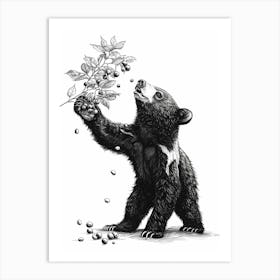 Malayan Sun Bear Standing And Reaching For Berries Ink Illustration 2 Art Print