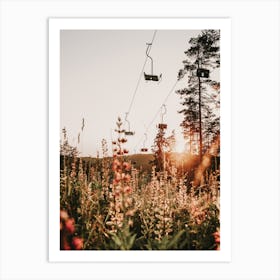 Ski Lift Over Wildflowers Art Print