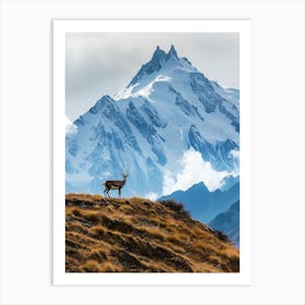 Deer In The Mountains Art Print