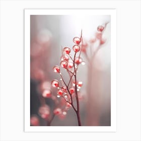 Glassy Berries Art Print