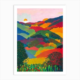 Bwindi Impenetrable National Park 1 Uganda Abstract Colourful Art Print