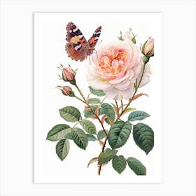 English Roses Painting Rose With Butterfly 4 Art Print