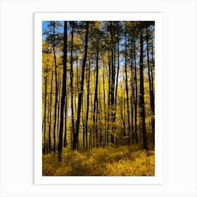 Autumn Forest 92 Art Print