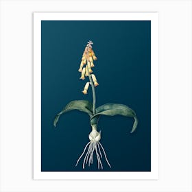 Vintage Watsonia Botanical Art on Teal Blue n.0732 Art Print