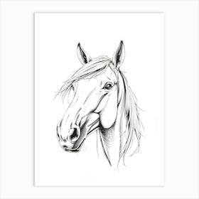 Horse Head Drawing 1 Art Print