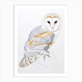 Barn Owl Drawing 1 Art Print