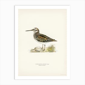 Jack Snipe, The Von Wright Brothers Art Print