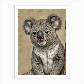 Koala Bear 7 Art Print