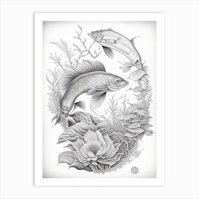 Kage Shiro Koi Fish Haeckel Style Illustastration Art Print