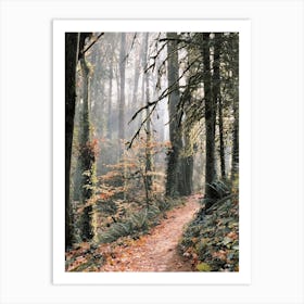 Pacific Northwest Forest Art Print