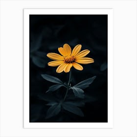 Single Yellow Flower 18 Art Print