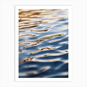 Reflections In Water Art Print