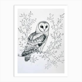 Boreal Owl Marker Drawing 2 Art Print