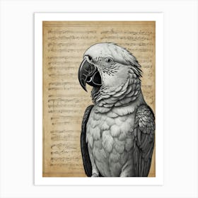 Parrot On Music Sheet Art Print