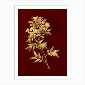 Vintage Argentine Senna Botanical in Gold on Red n.0295 Art Print