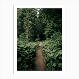 Green Forested Pathway II Art Print