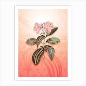 Starry Osbeckia Flower Vintage Botanical in Peach Fuzz Asanoha Star Pattern n.0025 Art Print