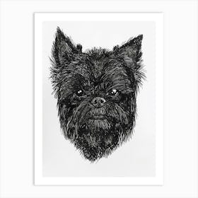 Affenpinscher Line Sketch 2 Art Print