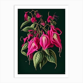 Fuchsia 1 Floral Botanical Vintage Poster Flower Art Print