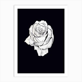 Rose Art Print