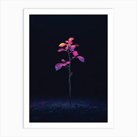 Plant In The Dark 27 Art Print