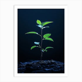 Tree Growing Out Of The Ground 3 Art Print