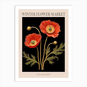 Iceland Poppy 2 Winter Flower Market Poster Art Print