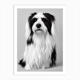 Tibetan Terrier B&W Pencil Dog Art Print